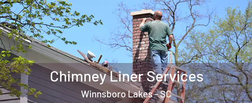 Chimney Liner Services Winnsboro Lakes - SC