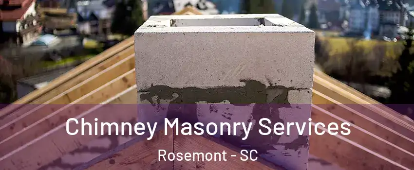 Chimney Masonry Services Rosemont - SC