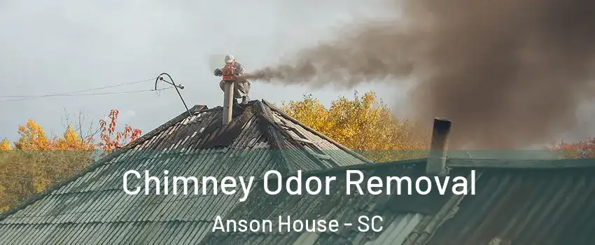 Chimney Odor Removal Anson House - SC