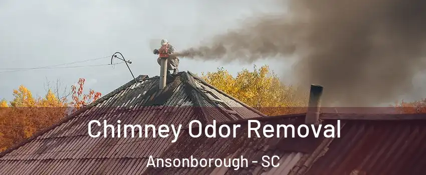 Chimney Odor Removal Ansonborough - SC