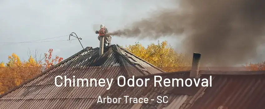 Chimney Odor Removal Arbor Trace - SC