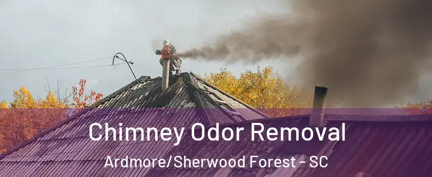 Chimney Odor Removal Ardmore/Sherwood Forest - SC