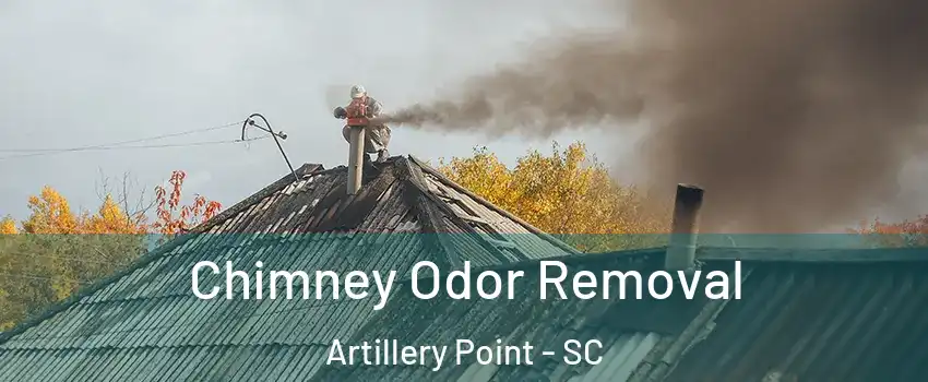 Chimney Odor Removal Artillery Point - SC