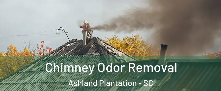 Chimney Odor Removal Ashland Plantation - SC