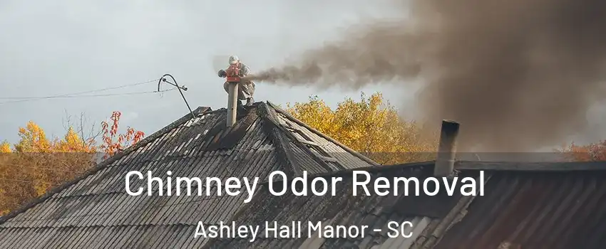 Chimney Odor Removal Ashley Hall Manor - SC