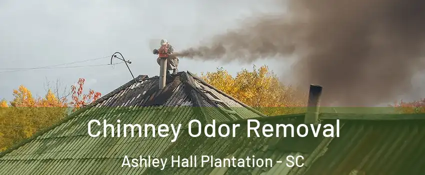 Chimney Odor Removal Ashley Hall Plantation - SC