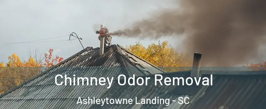 Chimney Odor Removal Ashleytowne Landing - SC