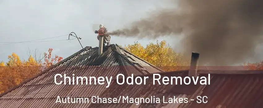 Chimney Odor Removal Autumn Chase/Magnolia Lakes - SC