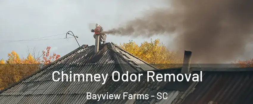 Chimney Odor Removal Bayview Farms - SC