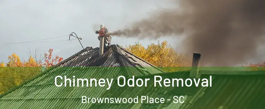 Chimney Odor Removal Brownswood Place - SC