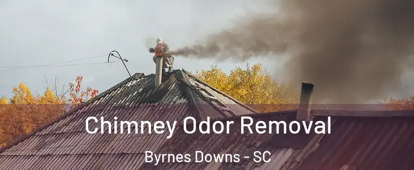 Chimney Odor Removal Byrnes Downs - SC