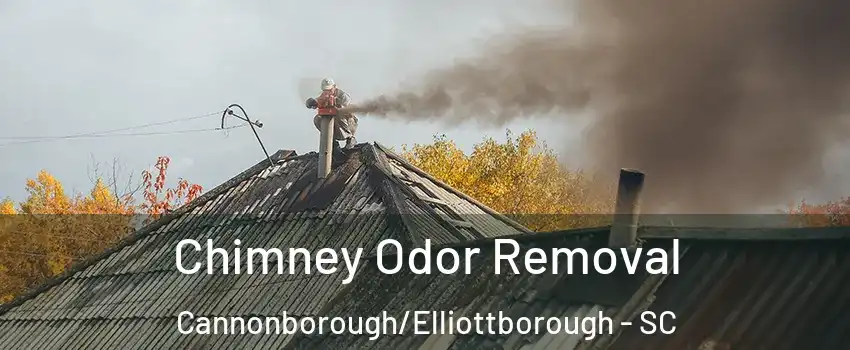 Chimney Odor Removal Cannonborough/Elliottborough - SC