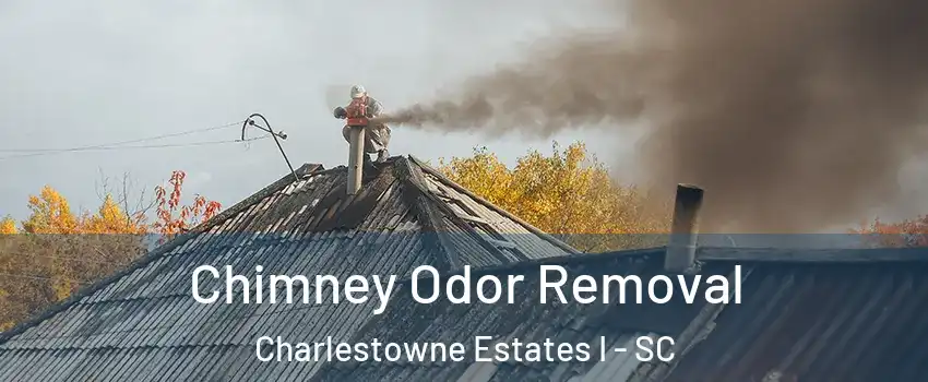 Chimney Odor Removal Charlestowne Estates I - SC