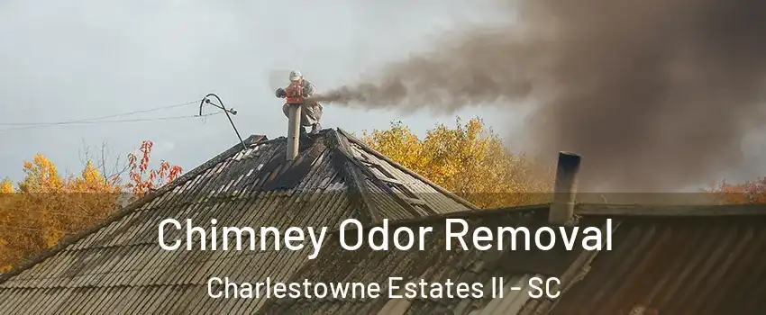 Chimney Odor Removal Charlestowne Estates II - SC