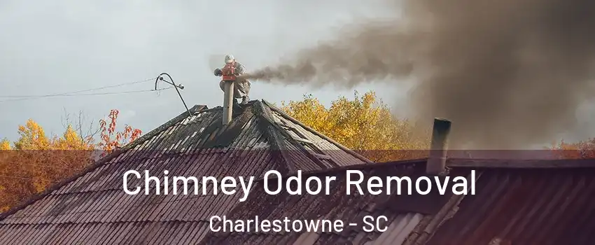 Chimney Odor Removal Charlestowne - SC