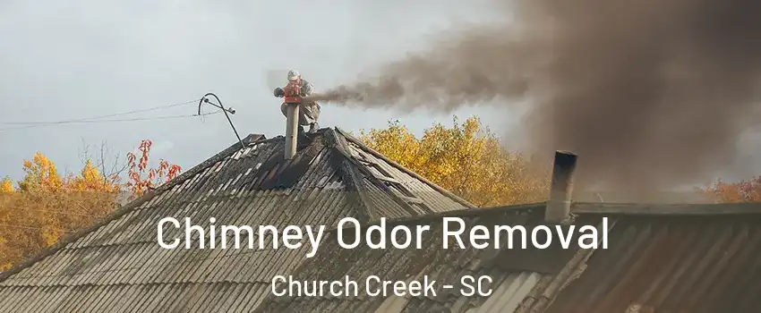 Chimney Odor Removal Church Creek - SC