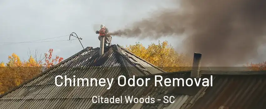 Chimney Odor Removal Citadel Woods - SC