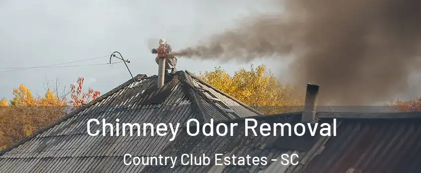 Chimney Odor Removal Country Club Estates - SC