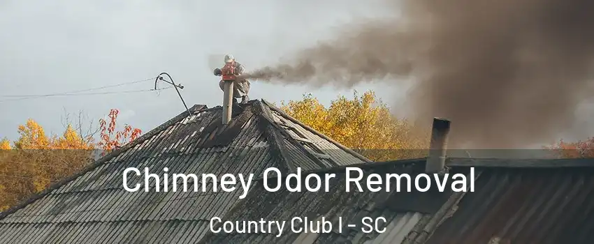 Chimney Odor Removal Country Club I - SC