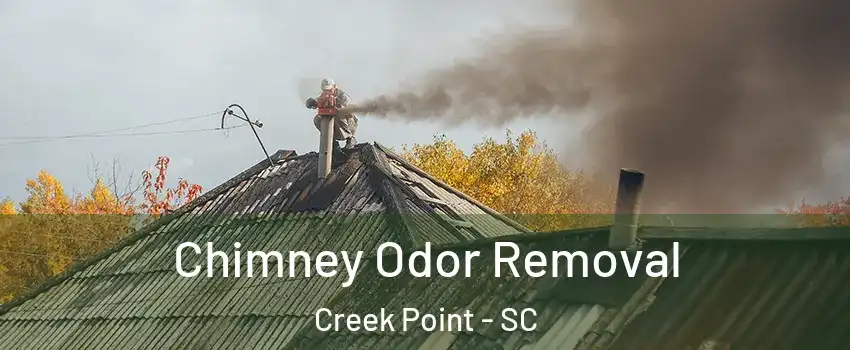 Chimney Odor Removal Creek Point - SC