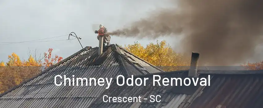 Chimney Odor Removal Crescent - SC