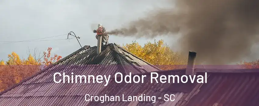 Chimney Odor Removal Croghan Landing - SC