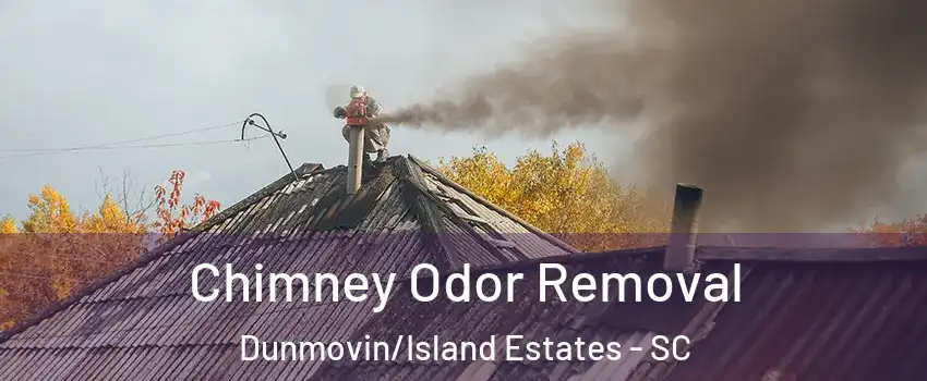 Chimney Odor Removal Dunmovin/Island Estates - SC