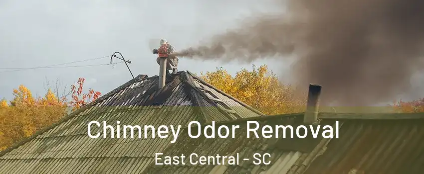 Chimney Odor Removal East Central - SC