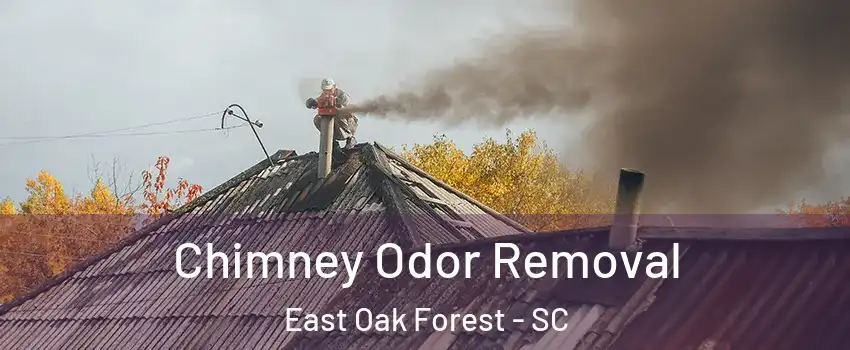 Chimney Odor Removal East Oak Forest - SC