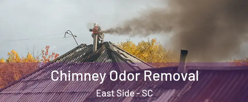 Chimney Odor Removal East Side - SC