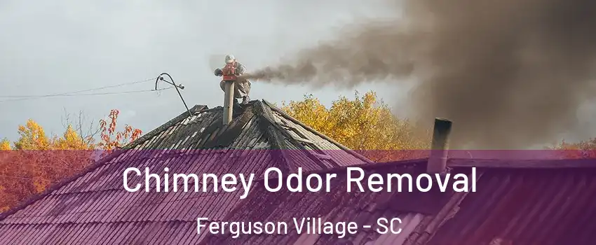 Chimney Odor Removal Ferguson Village - SC