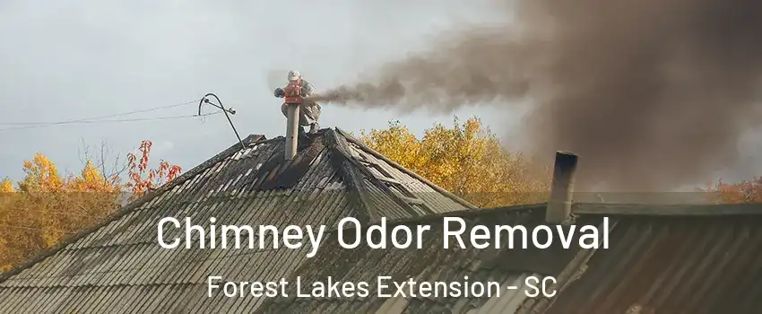 Chimney Odor Removal Forest Lakes Extension - SC