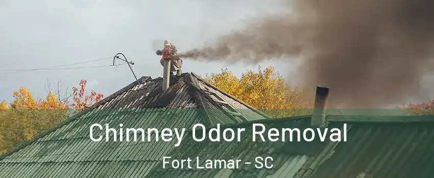 Chimney Odor Removal Fort Lamar - SC