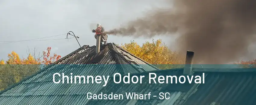 Chimney Odor Removal Gadsden Wharf - SC