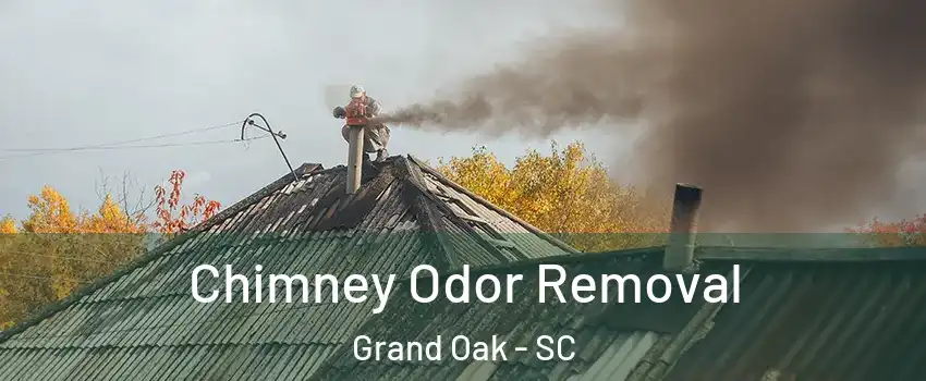 Chimney Odor Removal Grand Oak - SC