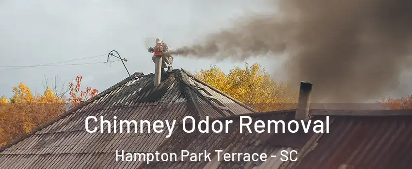 Chimney Odor Removal Hampton Park Terrace - SC