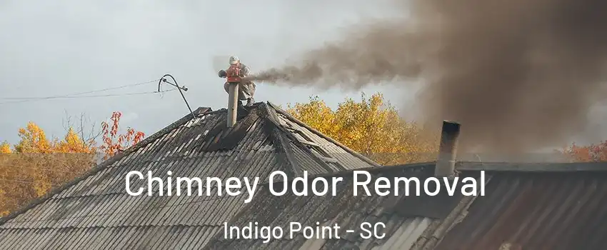 Chimney Odor Removal Indigo Point - SC