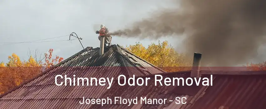 Chimney Odor Removal Joseph Floyd Manor - SC