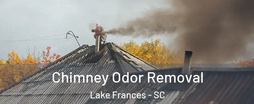 Chimney Odor Removal Lake Frances - SC