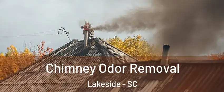 Chimney Odor Removal Lakeside - SC