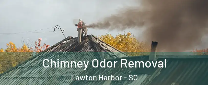 Chimney Odor Removal Lawton Harbor - SC