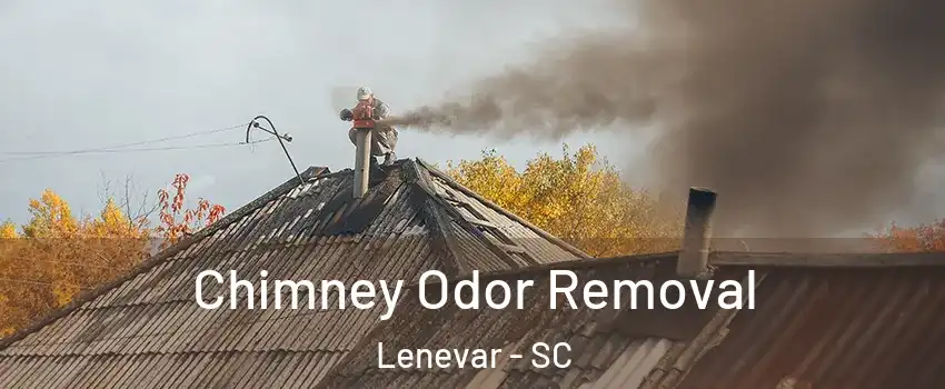 Chimney Odor Removal Lenevar - SC