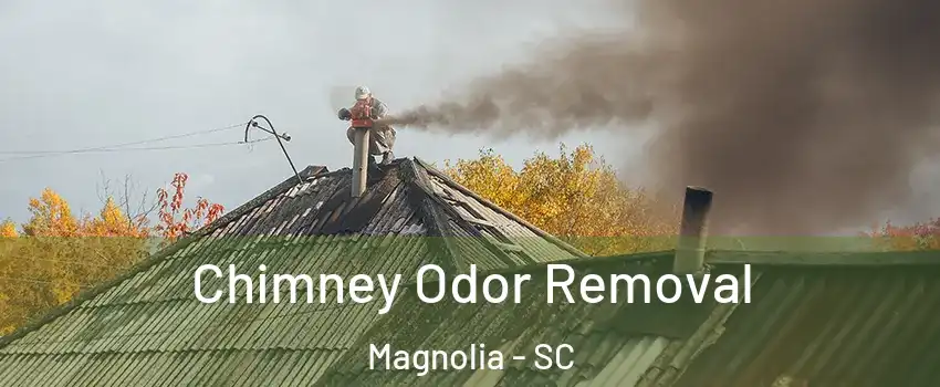 Chimney Odor Removal Magnolia - SC