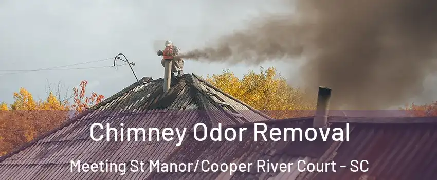 Chimney Odor Removal Meeting St Manor/Cooper River Court - SC