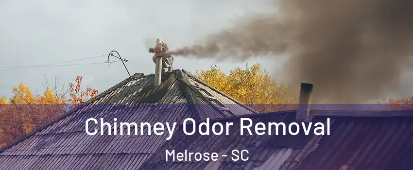 Chimney Odor Removal Melrose - SC