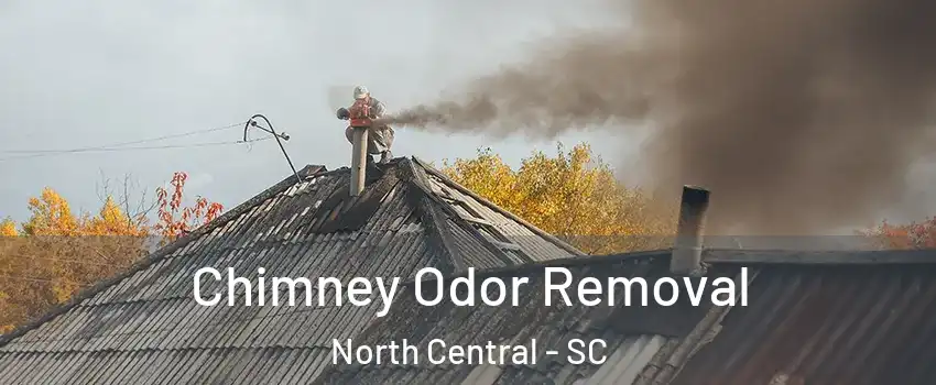 Chimney Odor Removal North Central - SC