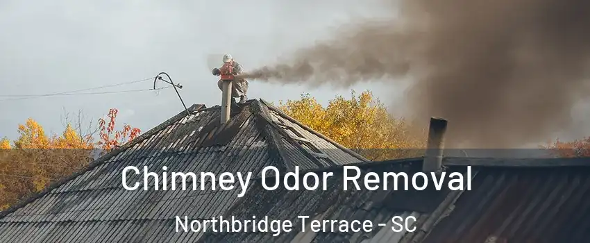 Chimney Odor Removal Northbridge Terrace - SC