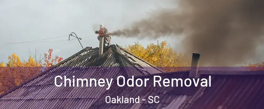 Chimney Odor Removal Oakland - SC