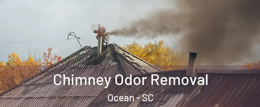 Chimney Odor Removal Ocean - SC