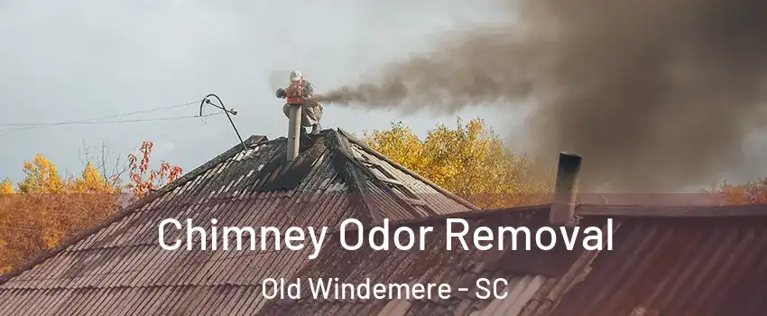 Chimney Odor Removal Old Windemere - SC